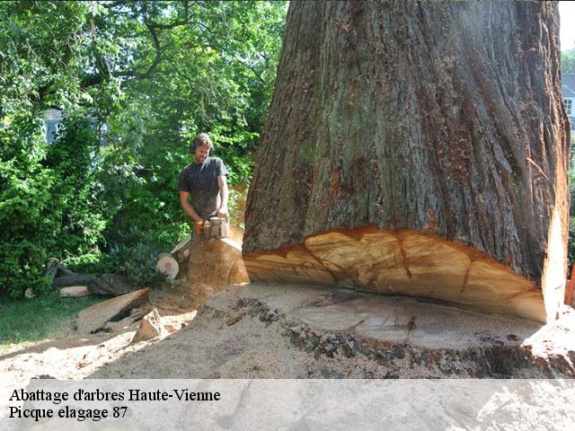 Abattage d'arbres 87 Haute-Vienne  Picque Elagage
