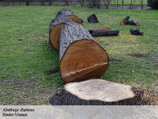 Abattage d'arbres Haute-Vienne 