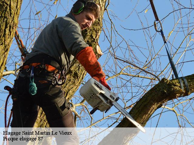 Elagage saint-martin-le-vieux-87700 Picque elagage 87