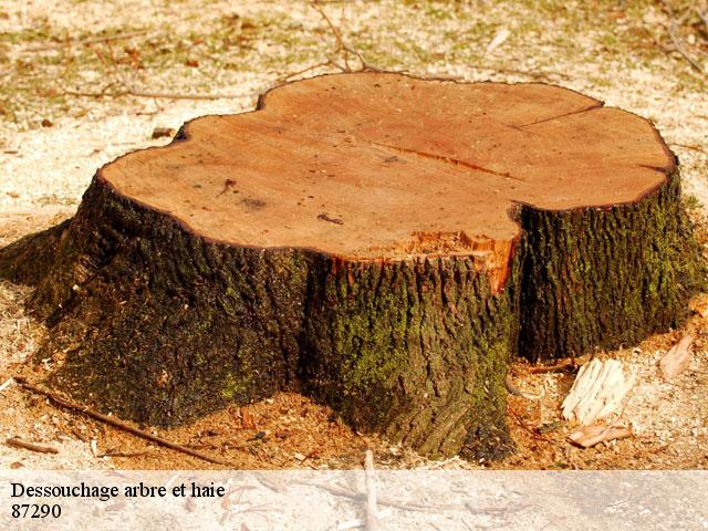 Dessouchage arbre et haie  87290