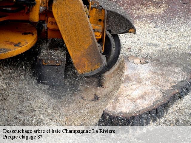 Dessouchage arbre et haie  champagnac-la-riviere-87150 Picque elagage 87