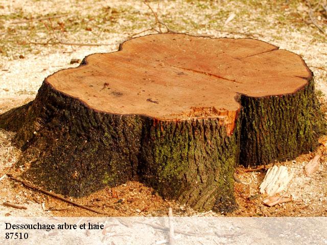 Dessouchage arbre et haie 87510