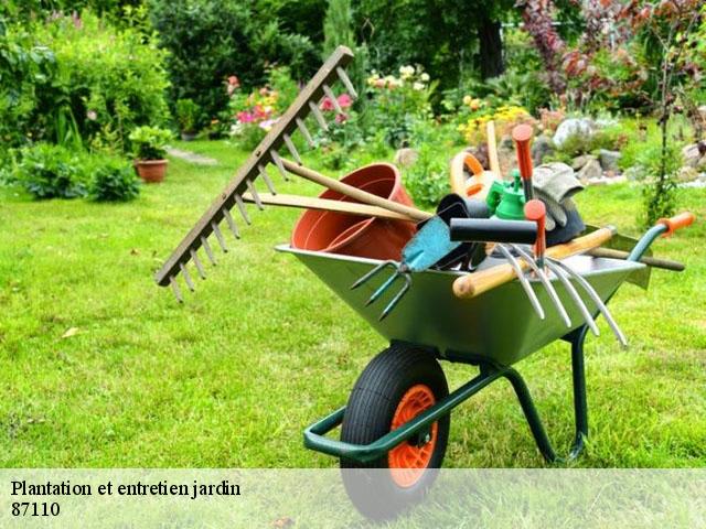 Plantation et entretien jardin 87110
