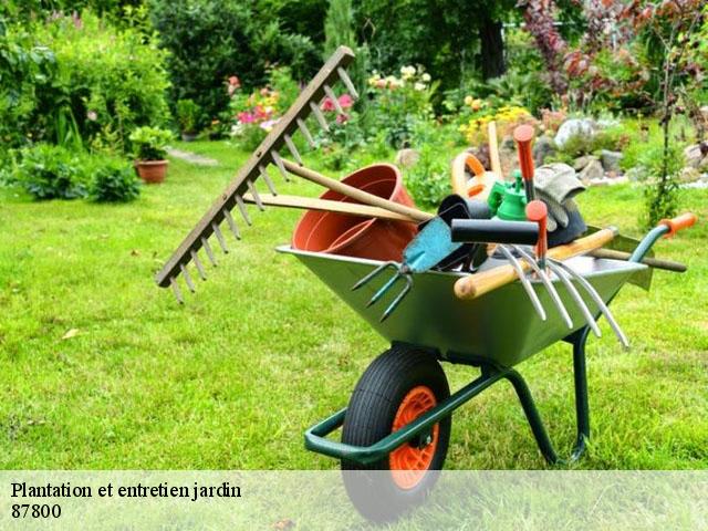 Plantation et entretien jardin 87800
