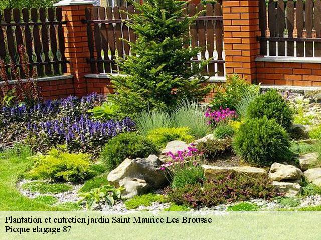 Plantation et entretien jardin saint-maurice-les-brousse-87800 Picque elagage 87