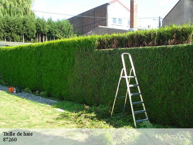 Taille de haie 87260