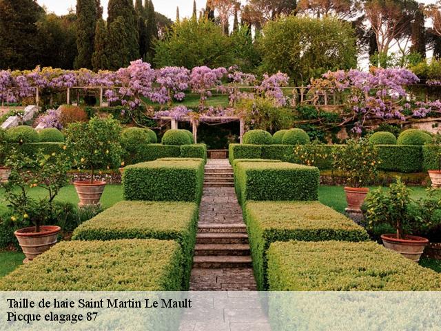 Taille de haie  saint-martin-le-mault-87360 Picque elagage 87