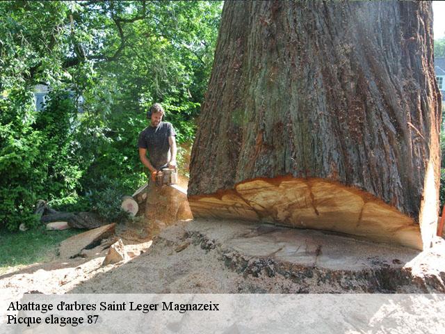 Abattage d'arbres saint-leger-magnazeix-87190 Picque elagage 87