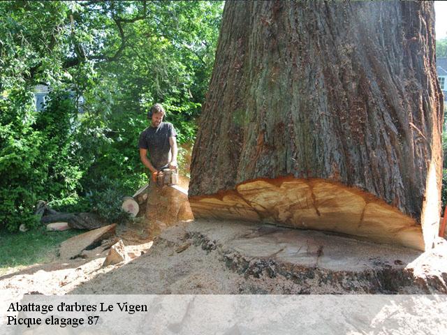 Abattage d'arbres le-vigen-87110 Picque elagage 87