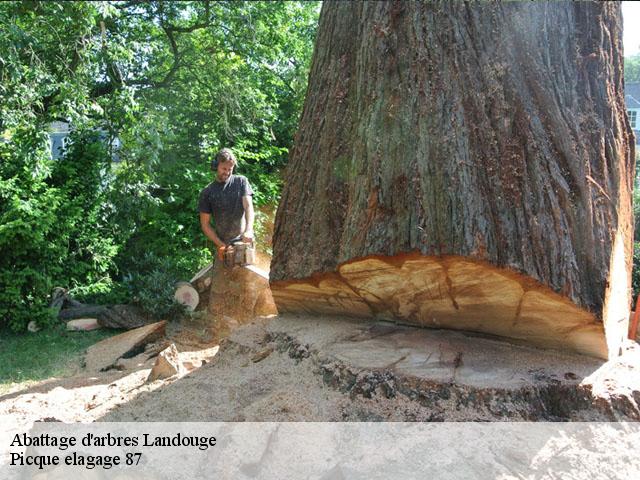 Abattage d'arbres  landouge-87100 Picque elagage 87