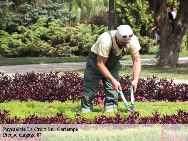 Paysagiste  la-croix-sur-gartempe-87210 Picque elagage 87