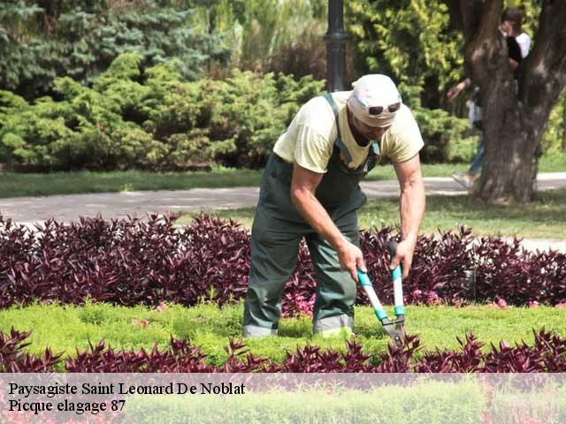Paysagiste saint-leonard-de-noblat-87400 Picque elagage 87