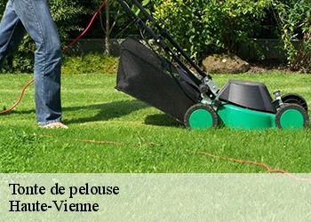 Tonte de pelouse Haute-Vienne