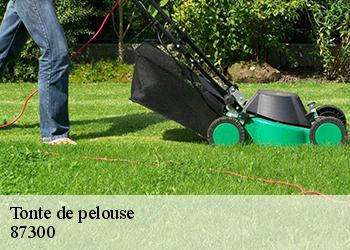 Tonte de pelouse 87300