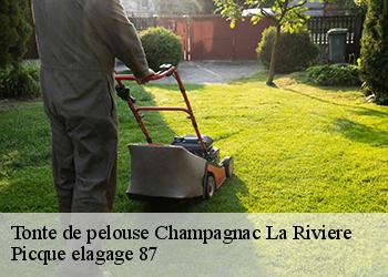 Tonte de pelouse  champagnac-la-riviere-87150 Picque elagage 87