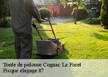 Tonte de pelouse cognac-la-foret-87310 Picque elagage 87