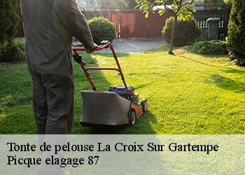 Tonte de pelouse la-croix-sur-gartempe-87210 Picque elagage 87