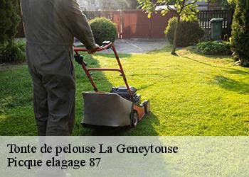 Tonte de pelouse la-geneytouse-87400 Picque elagage 87