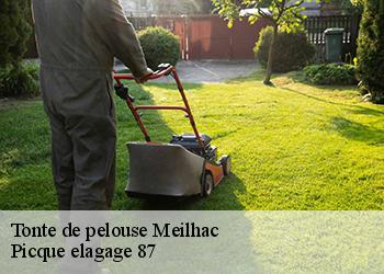 Tonte de pelouse meilhac-87800 Picque elagage 87