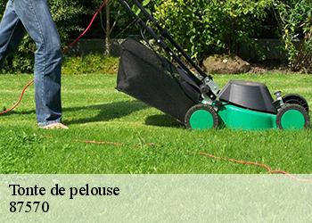 Tonte de pelouse  87570