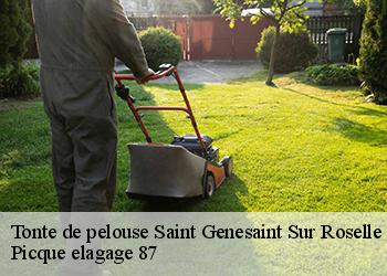 Tonte de pelouse saint-genesaint-sur-roselle-87260 Picque elagage 87