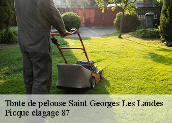 Tonte de pelouse saint-georges-les-landes-87160 Picque elagage 87