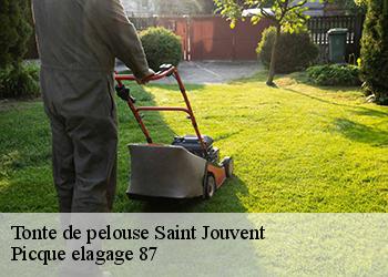 Tonte de pelouse saint-jouvent-87510 Picque elagage 87
