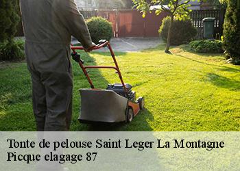Tonte de pelouse saint-leger-la-montagne-87340 Picque elagage 87