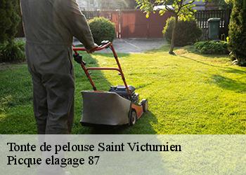 Tonte de pelouse saint-victurnien-87420 Picque elagage 87