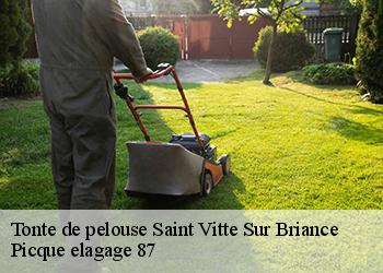Tonte de pelouse saint-vitte-sur-briance-87380 Picque elagage 87